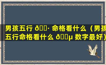 男孩五行 🕷 命格看什么（男孩五行命格看什么 🐵 数字最好）